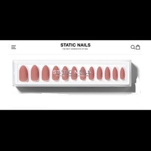 Static Nails Matte Rose Almond Nails